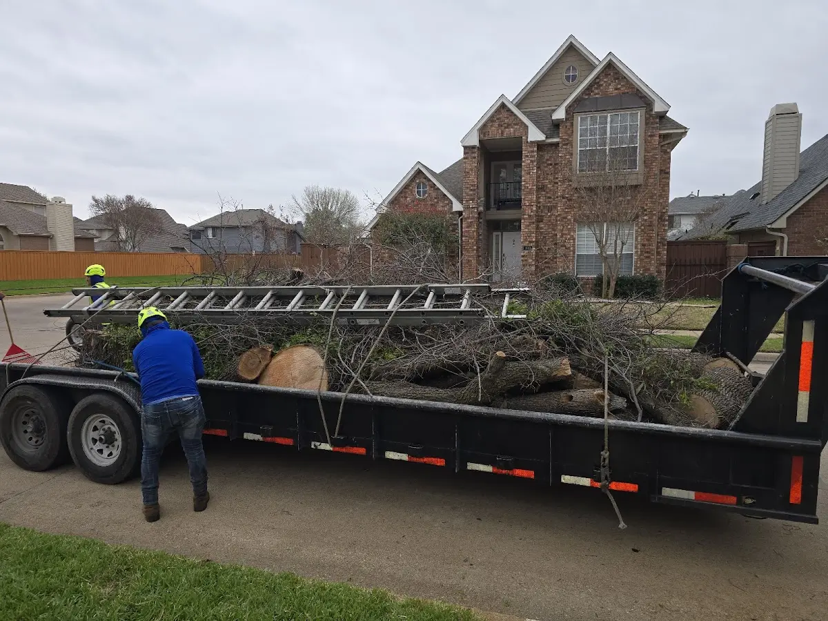 Expert Tree Fertilization with proper safety equipment in Plymouth